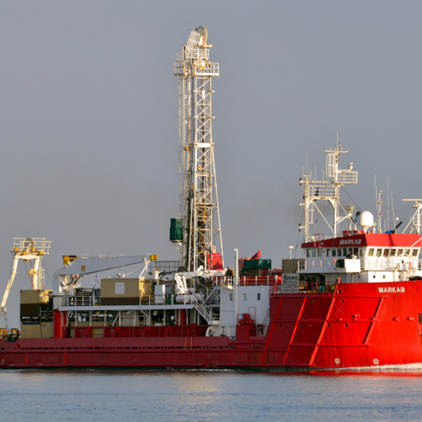 Bekor qilingan tovuqlar porno