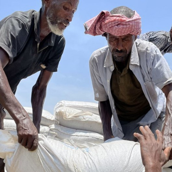 Aid Flows into Tigray Region as Ethiopia's Humanitarian Truce Holds - Vimarsana News