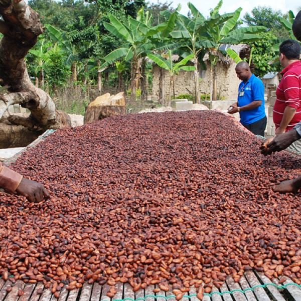 Chocolate manufacturers will now pay more for cocoa as Côte d’Ivoire
