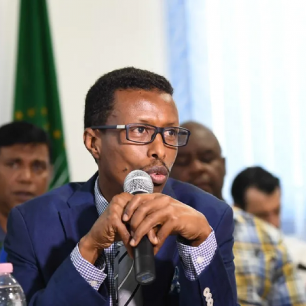 Multi-national forces to take over from AU troops in Somalia - Vimarsana News