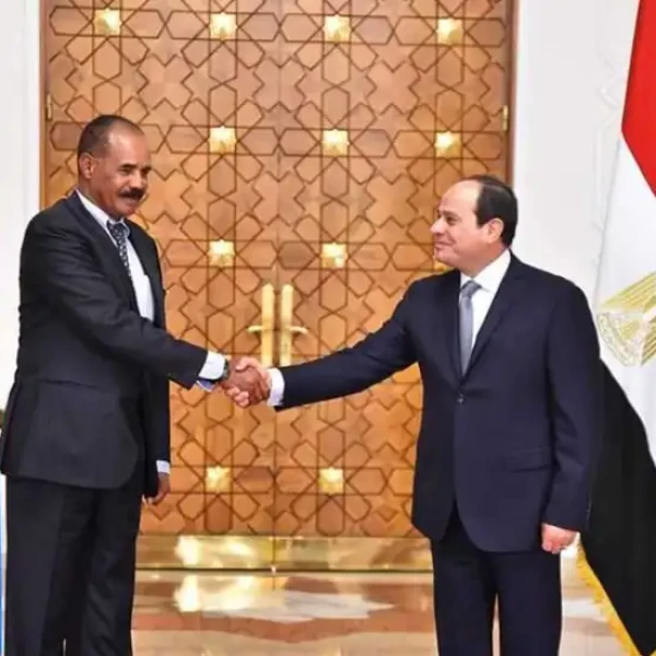 Al-Sisi, Afwerki support Somalia's territorial integrity - Vimarsana News