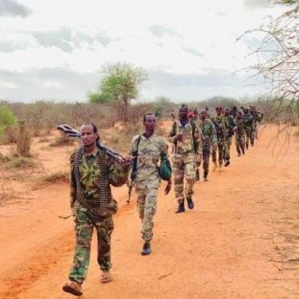 Al-Shabaab strikes key town in central Somalia - Vimarsana News