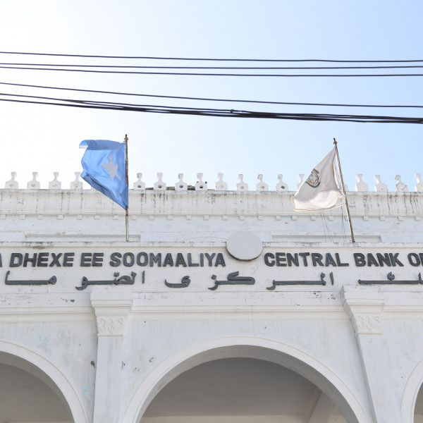 Domestic revenue collection increases in Somalia - Vimarsana News
