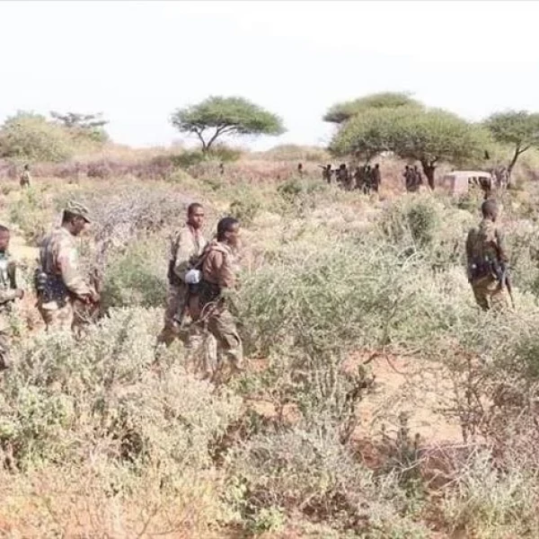 Over 80 Al-Shabab militants killed in Somalia - Vimarsana News