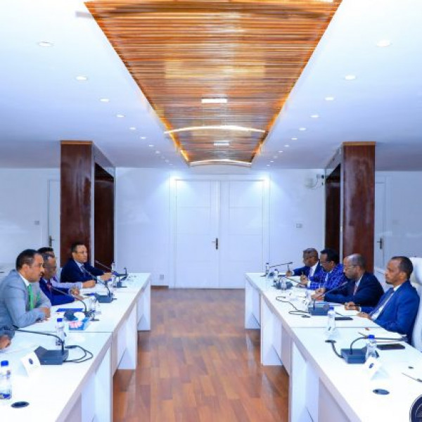 Ethiopia and Puntland Explore Opportunities for Enhanced Relations - Vimarsana News