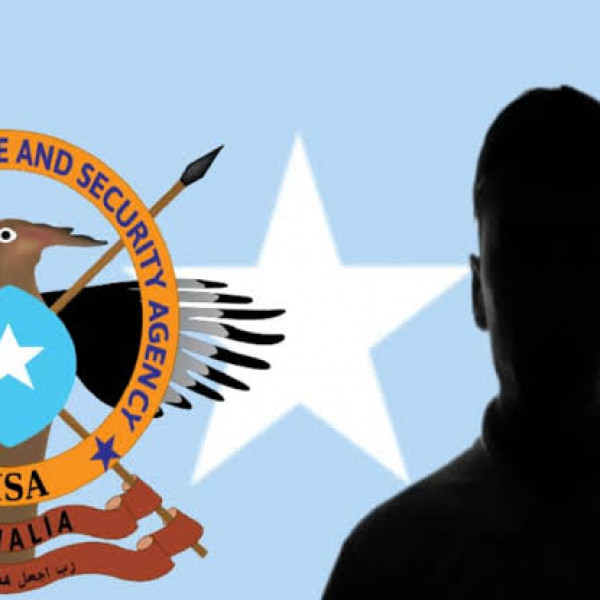 Intelligence on the Frontlines: Al-Shabaab's Amniyat Outshines Somalia's NISA in Strategic Study - Vimarsana News