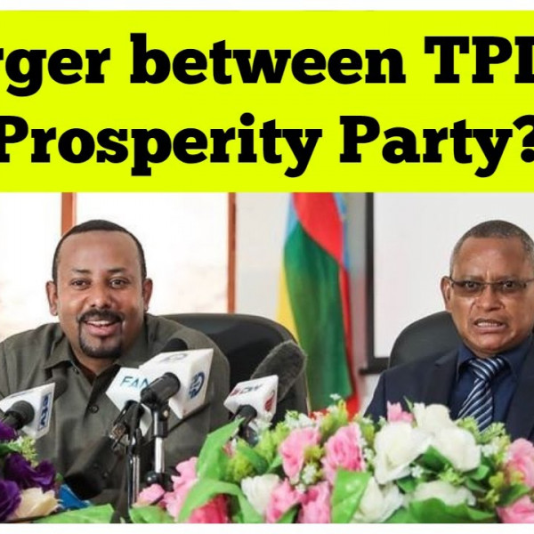 TPLF: We are not merging with Prosperity Party - Vimarsana News