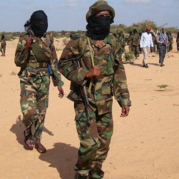 Somalia: SNA eliminates over 30 Al-Shabaab militants - Vimarsana News