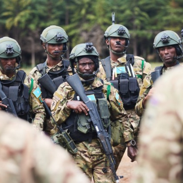 Somalia: We shall re-evaluate Danab's transparency and accountability, US says - Vimarsana News