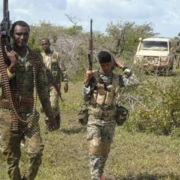 Over 100 Al-Shabaab militants surrender in Somalia - Vimarsana News