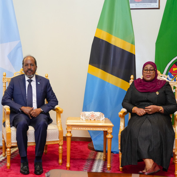 Tanzania agrees to support Somalia's security strategy - Vimarsana News