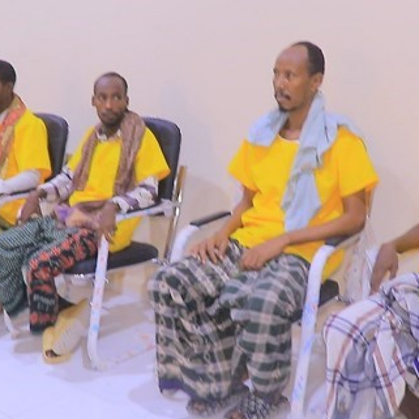 Military court sentences Al-Shabaab militants in Somalia - Vimarsana News