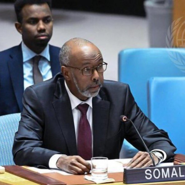 Somalia's Abstention from Srebrenica Genocide Resolution Vote Raises Questions at UN General Assembly - Vimarsana News