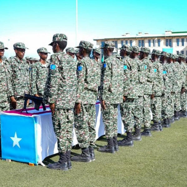 Somalia: Company Close to President’s Office Sparks Controversy Over Travel Revenue Control