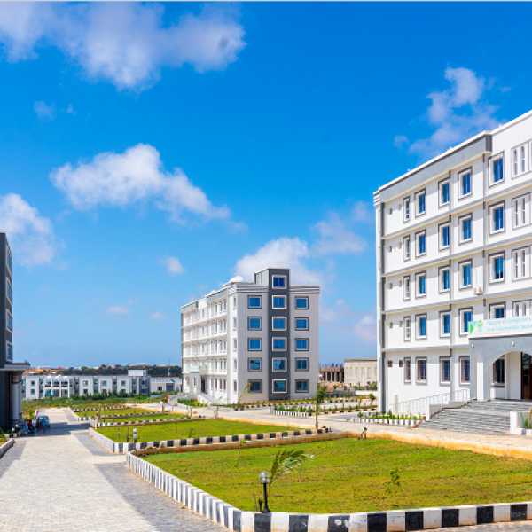 Cyber Hacking of Somalia’s E-Visa System Puts Thousands at Risk, U.S. Embassy Warns