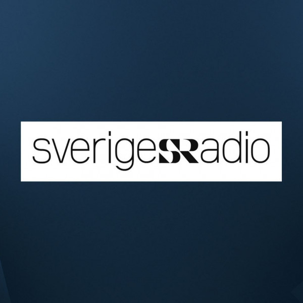 Somalia’s Prime Minister Responds to Trump Remarks as Immigration Raids Begin in Minnesota