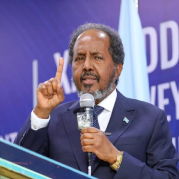 Somalia confirms talks on Red Sea security pact with Saudi Arabia and Egypt