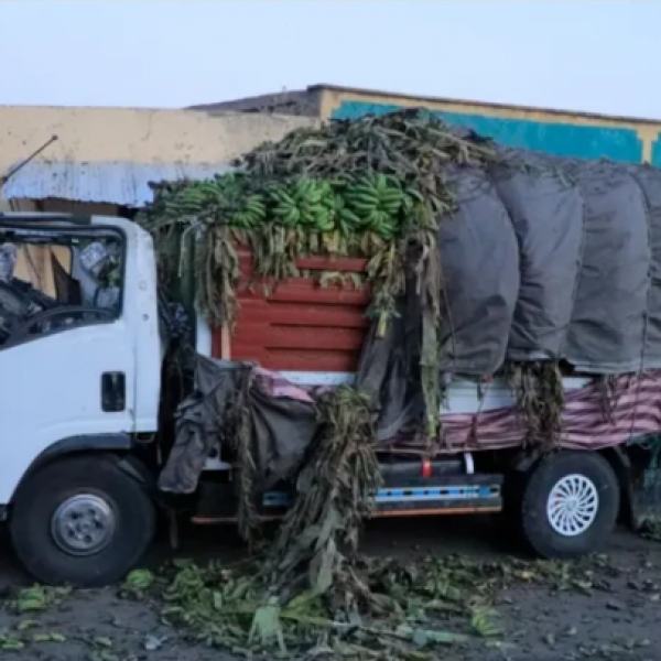 Drone strikes hit towns in Ethiopia’s Tigray region, killing one