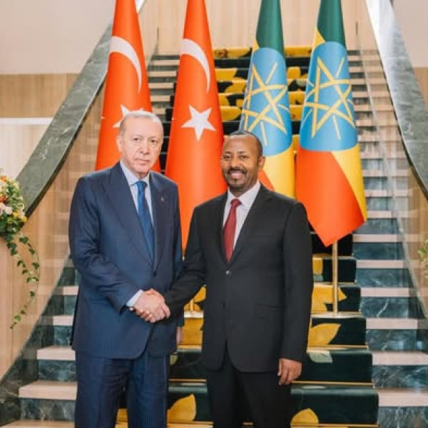 Erdogan tells Ethiopia it would gain nothing from recognising Somaliland