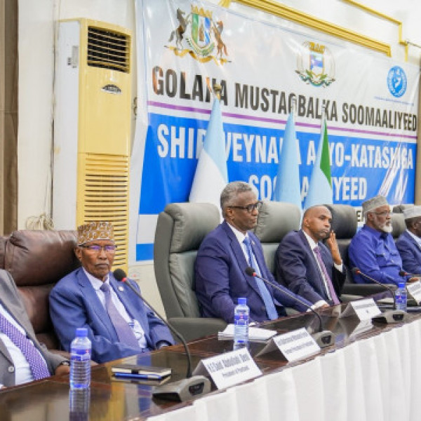 Somalia: Southwest State Accuses Federal Officials of Al-Shabaab Links