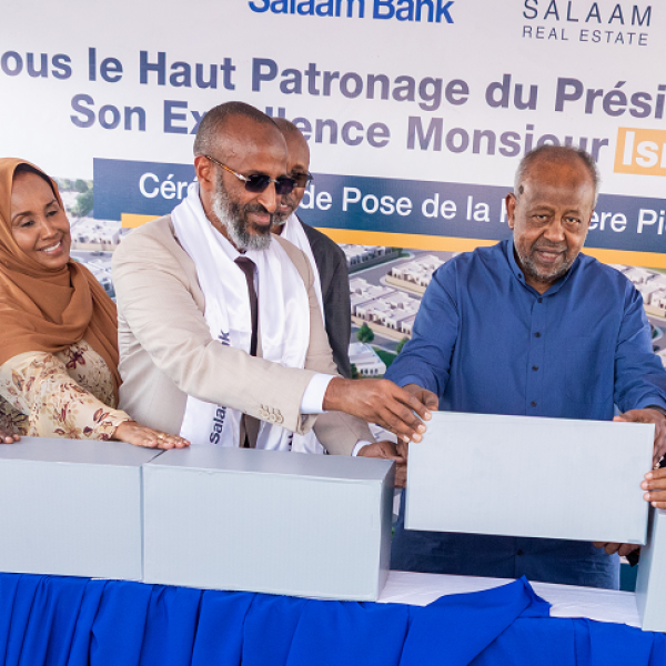 Djibouti’s New Horizon: President Guelleh Unveils $480 Million "Salaam City"