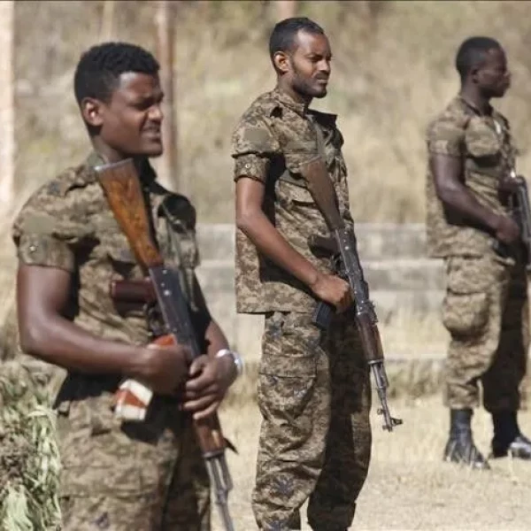 Tigray rebels claim to have killed over 1,500 Ethiopian soldiers as PM Abiy Ahmed warns Eritrea